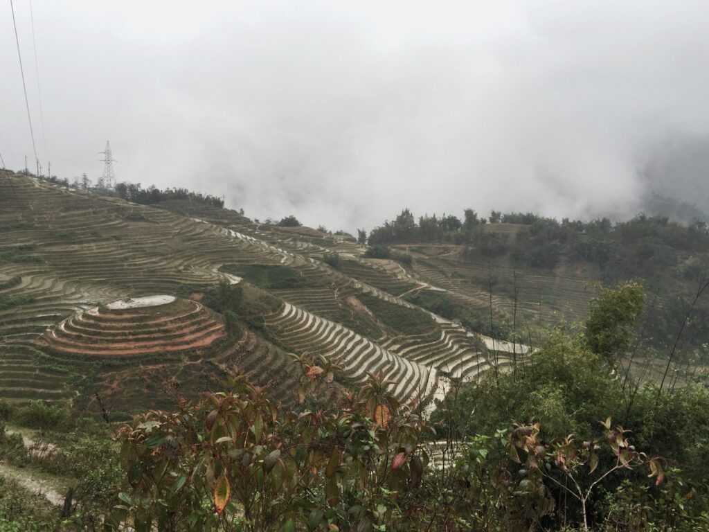 Vista de los arrozales de SaPa