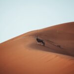 Foto de un orix en las dunas de Namibia