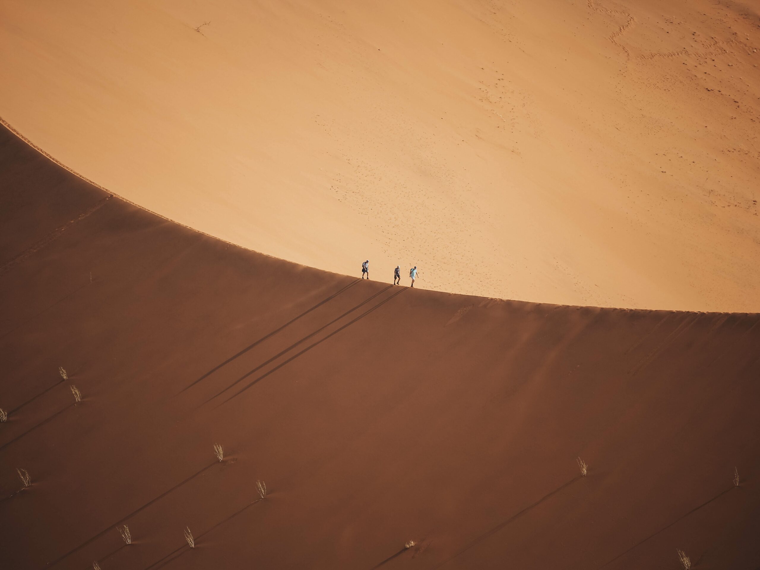 Turistas ascendiendo por la duna 