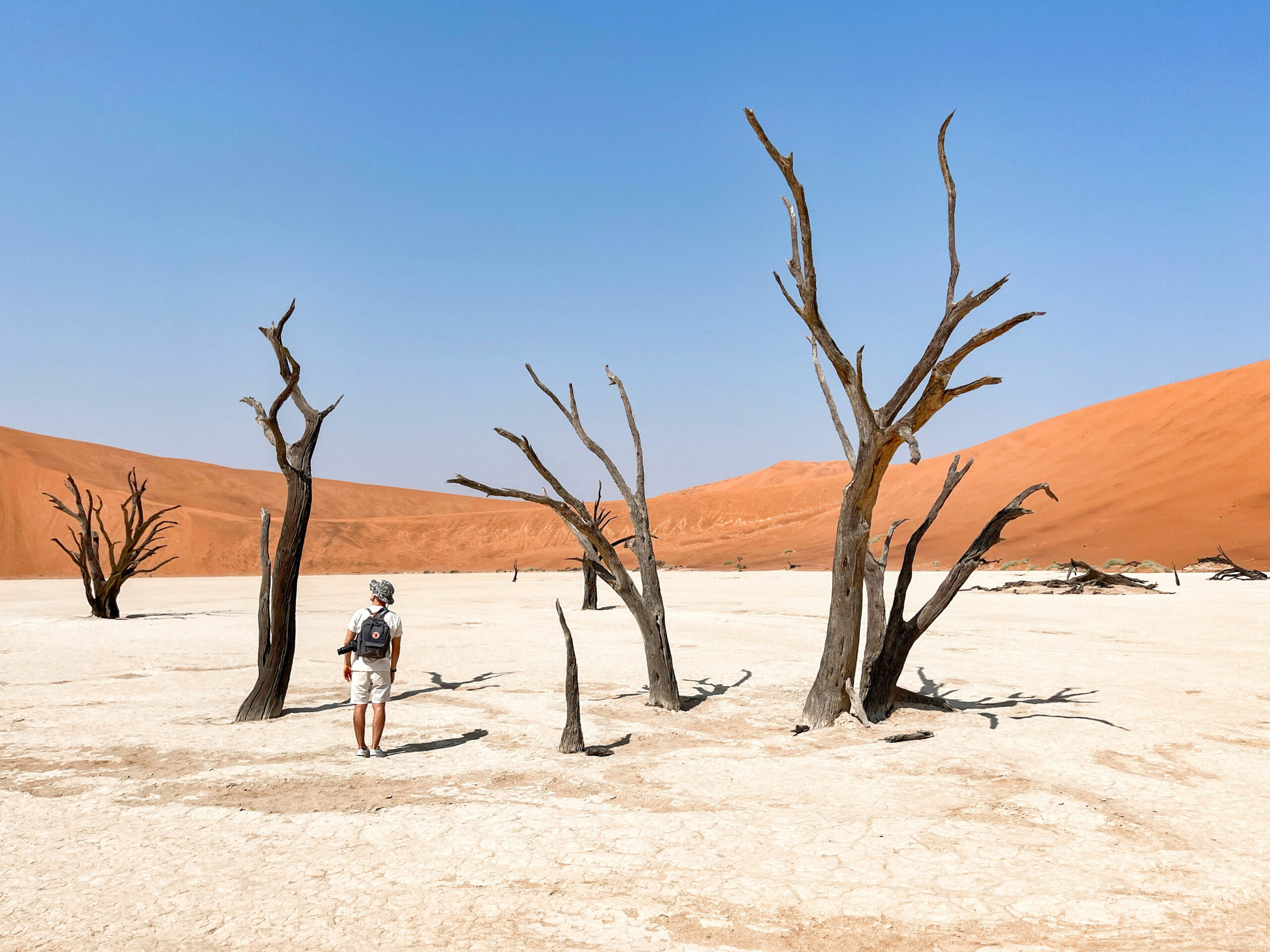 Árboles petrificados en Deadvlei