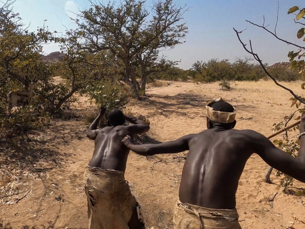 Los Damara usan un arco escondidos en la maleza para poder cazar