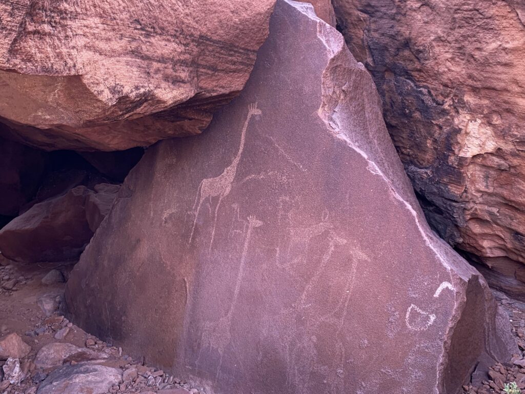 La visita de Twyfelfontein consta de más de 10000 petroglifos grabados en roca