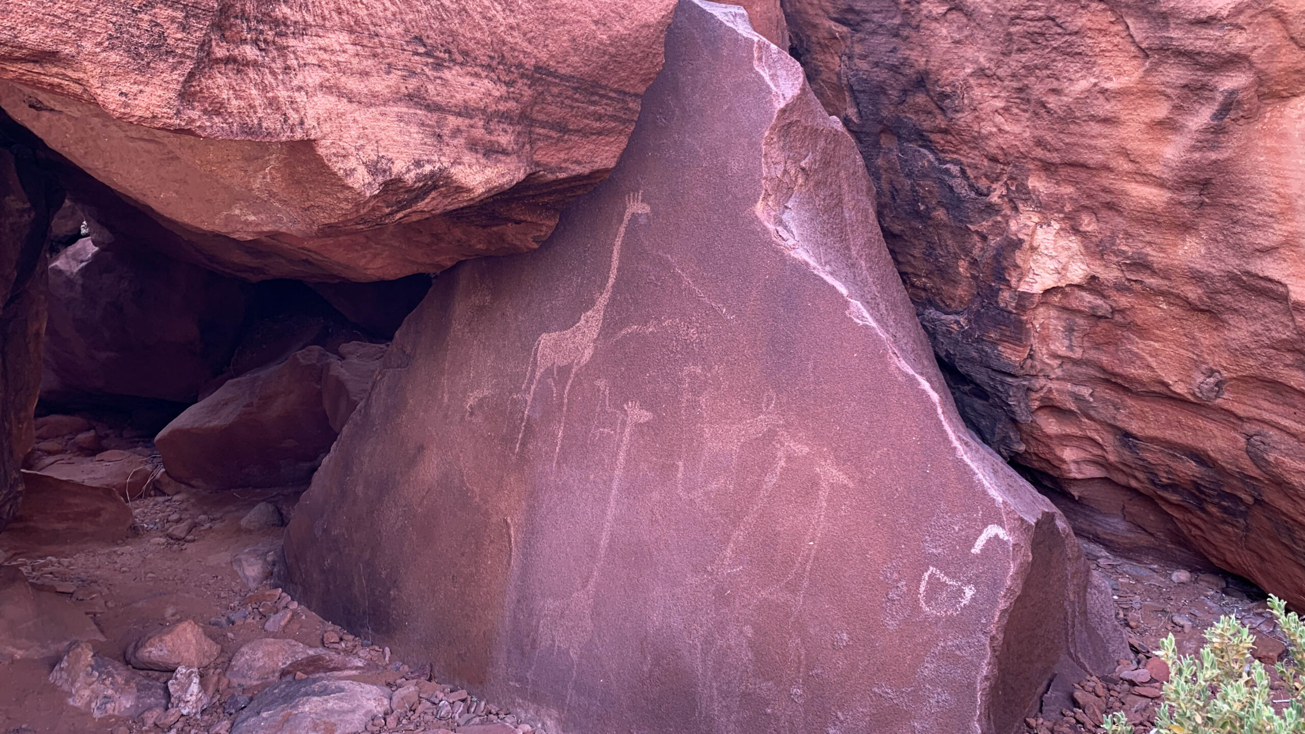 Petroglifos de Twyfelfontein