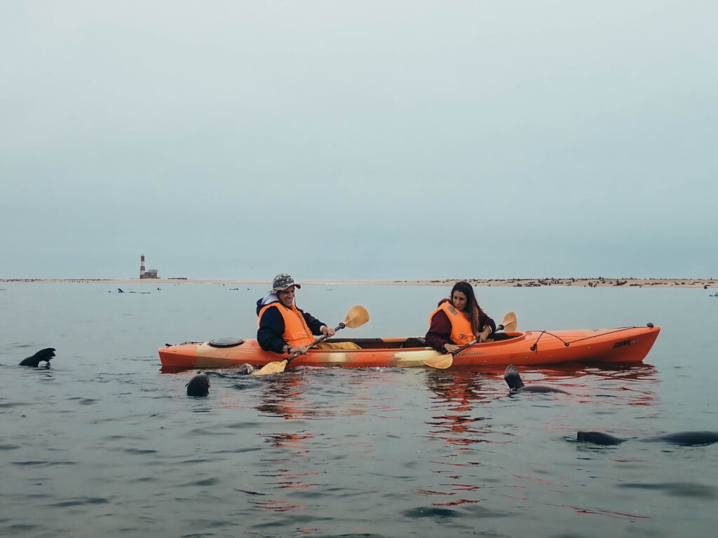 Interactuando con las crías de leones marinos en Walvis Bay