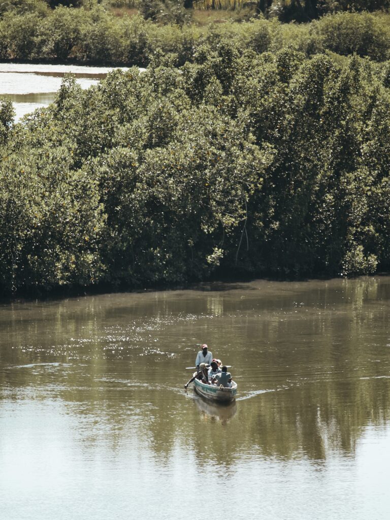 A la bajada cogemos una canoa por un corto recorrido a contracorriente, la canoa está chula pero no te llevan prácticamente a ningún lugar y no se ven animales ni nada.