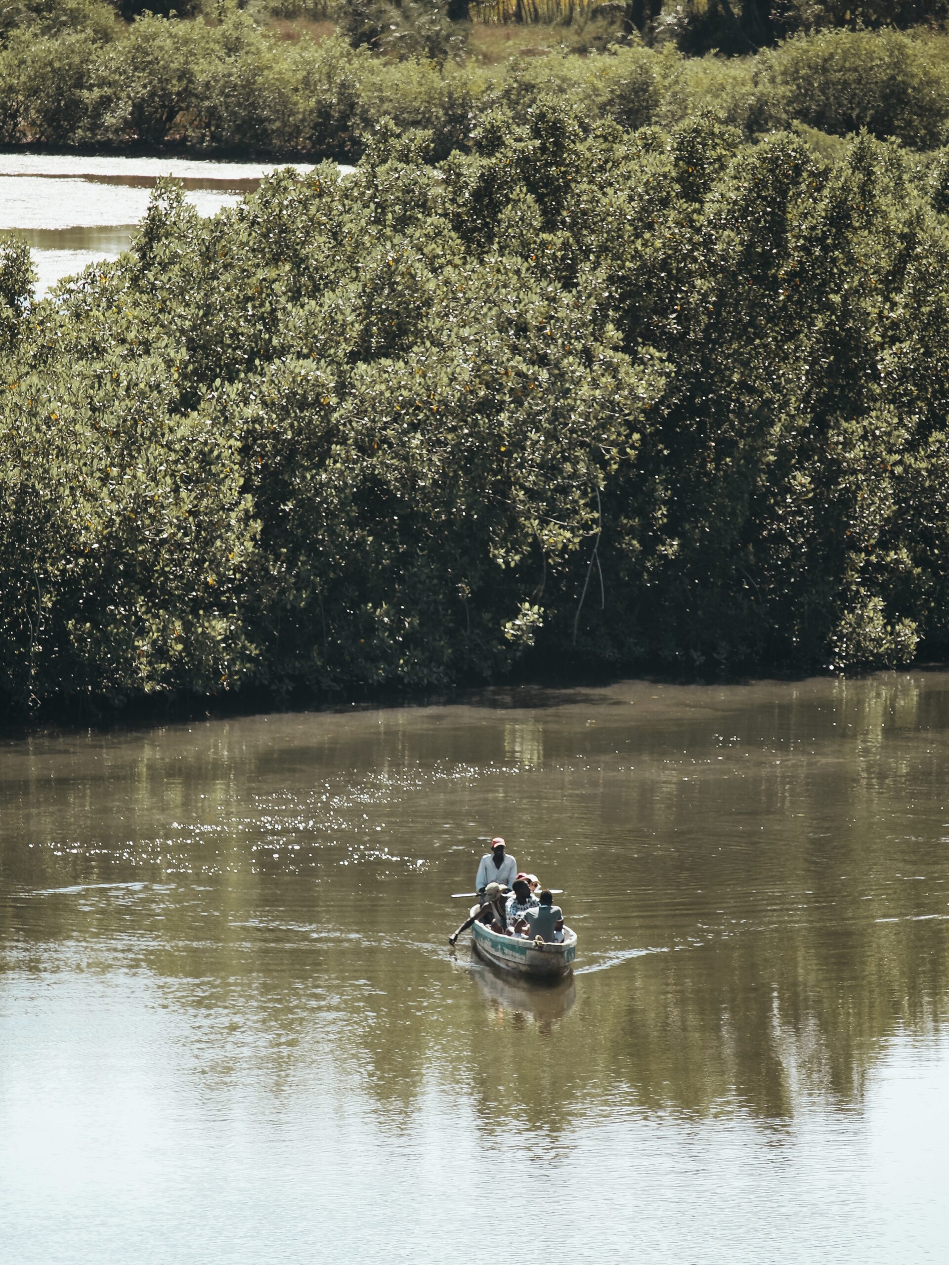 Paseo en barca por Makasutu