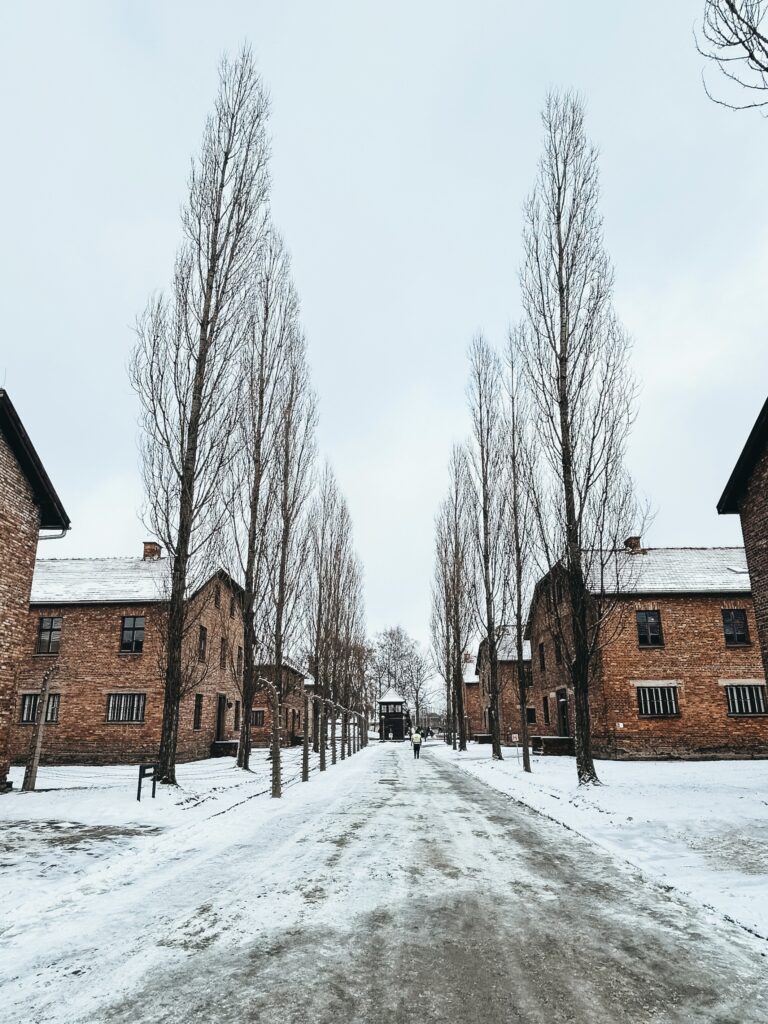 Para conocer bien una ciudad o un país, una de las cosas más importantes, es adentrarse en su historia, por muy dura que esta pueda llegar a ser. Esto es lo que pasa con la visita a Auschwitz-Birkenau, lugar donde ocurrió uno de los episodios más crueles y sobrecogedores de la historia.