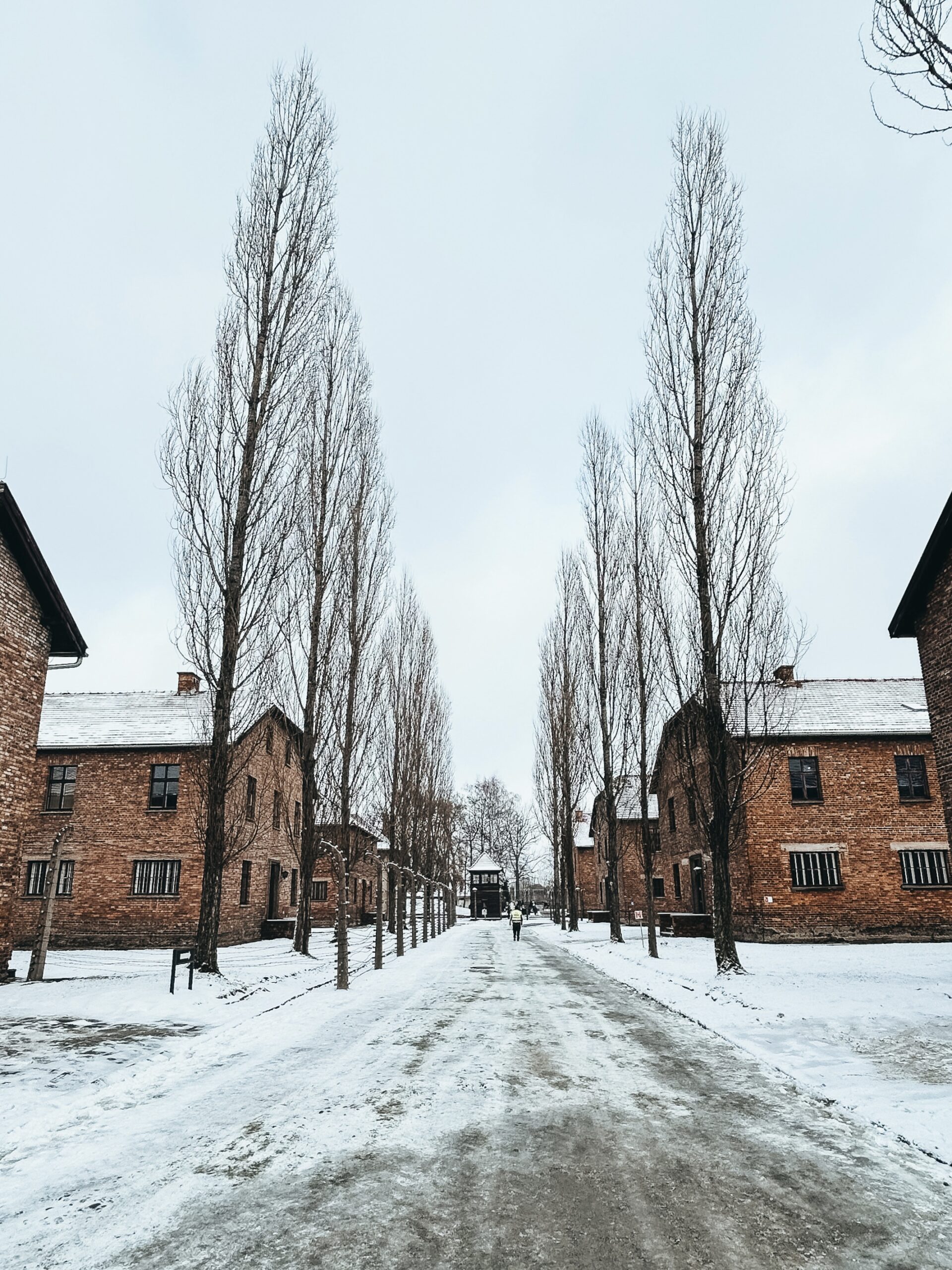 Barracones de Auschwitz