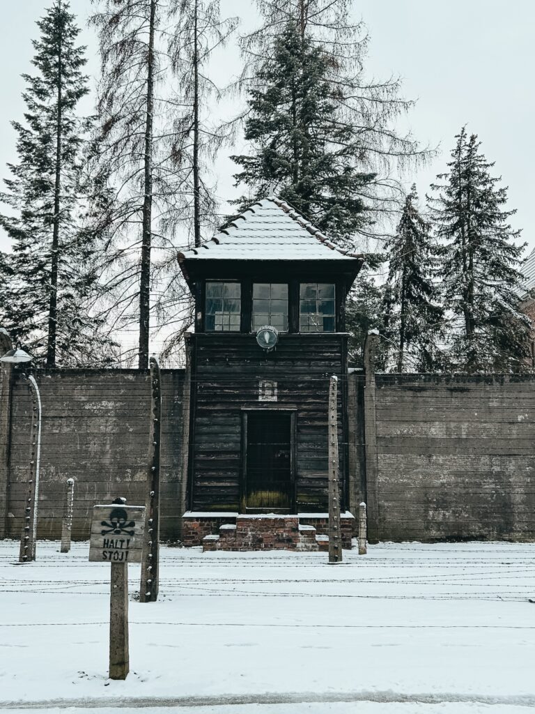 Para conocer bien una ciudad o un país, una de las cosas más importantes, es adentrarse en su historia, por muy dura que esta pueda llegar a ser. Esto es lo que pasa con la visita a Auschwitz-Birkenau, lugar donde ocurrió uno de los episodios más crueles y sobrecogedores de la historia.