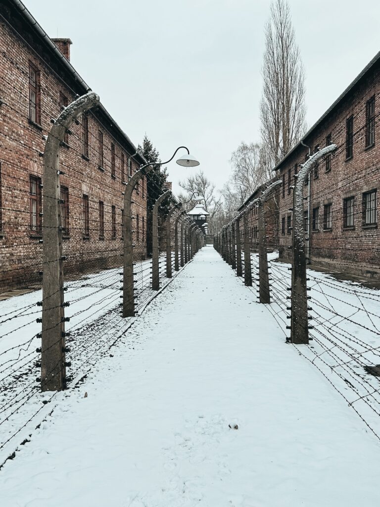 Auschwitz estaba compuesto por varios campos y fue ideado para concentrar a los presos, llevar a cabo trabajos forzados y exterminarlos. Aquí murieron más de un millón de personas, la gran mayoría judíos.