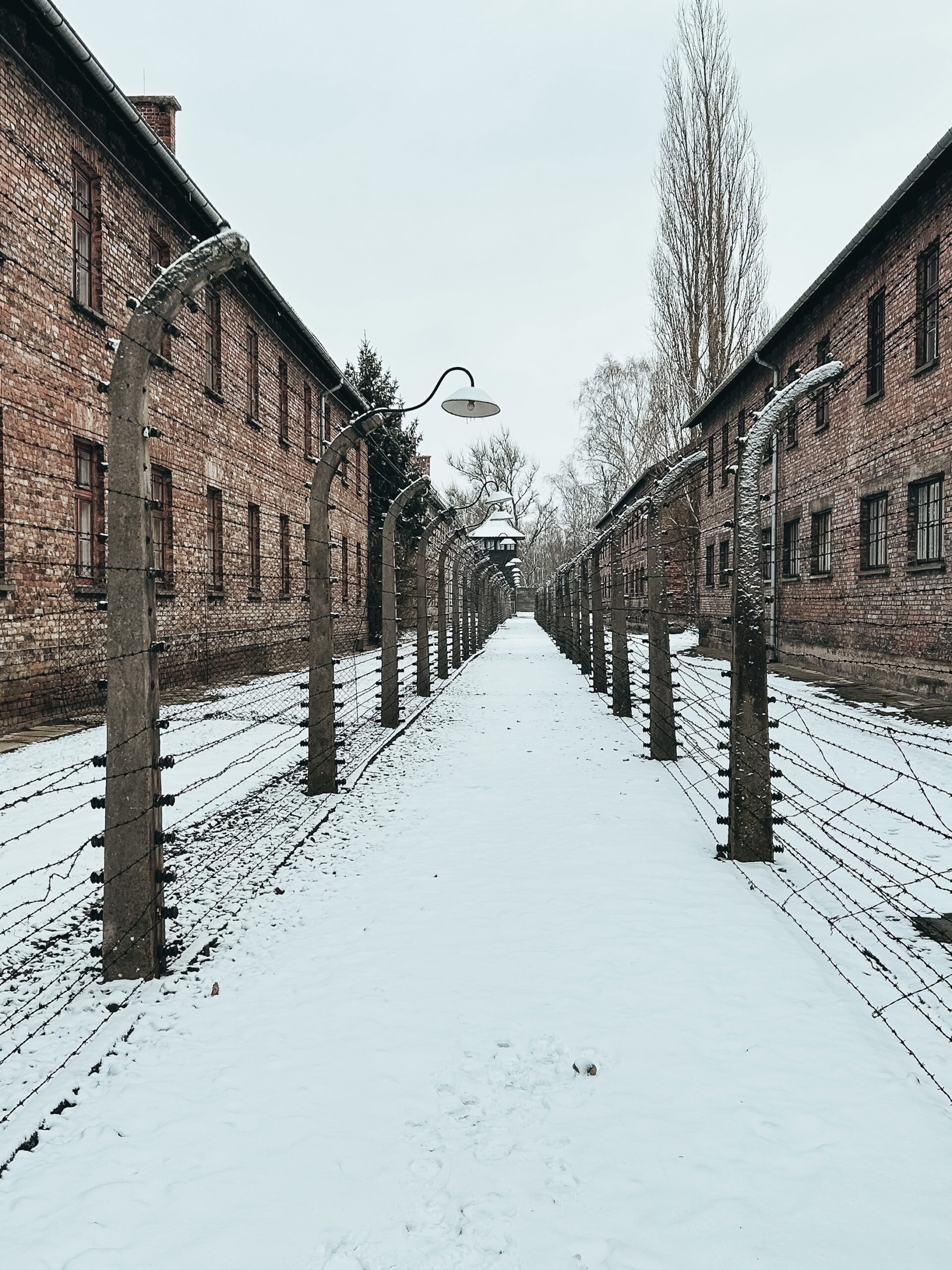 Alambrada en Auschwitz