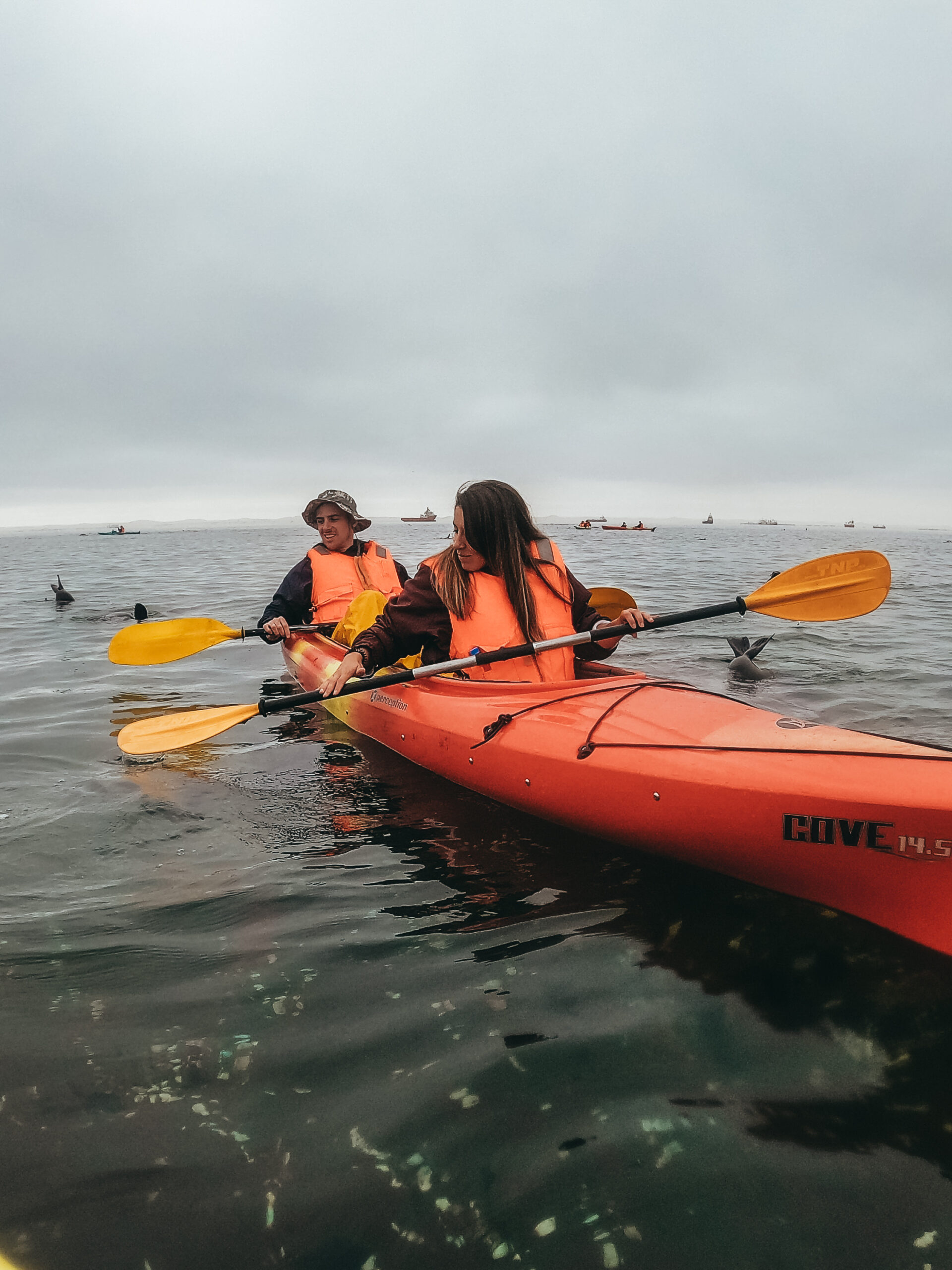 En kayak con leones marinos