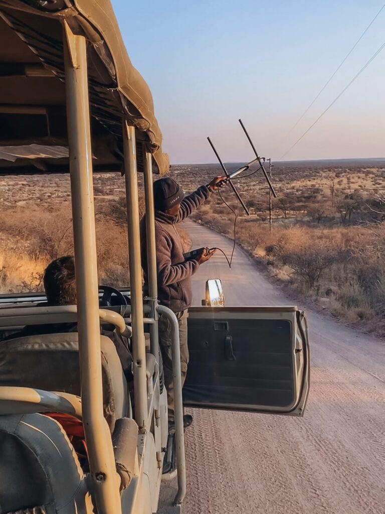 Desde lo alto de la colina se cogía mejor señal para localizarlo con unas vistas amplias de la reserva