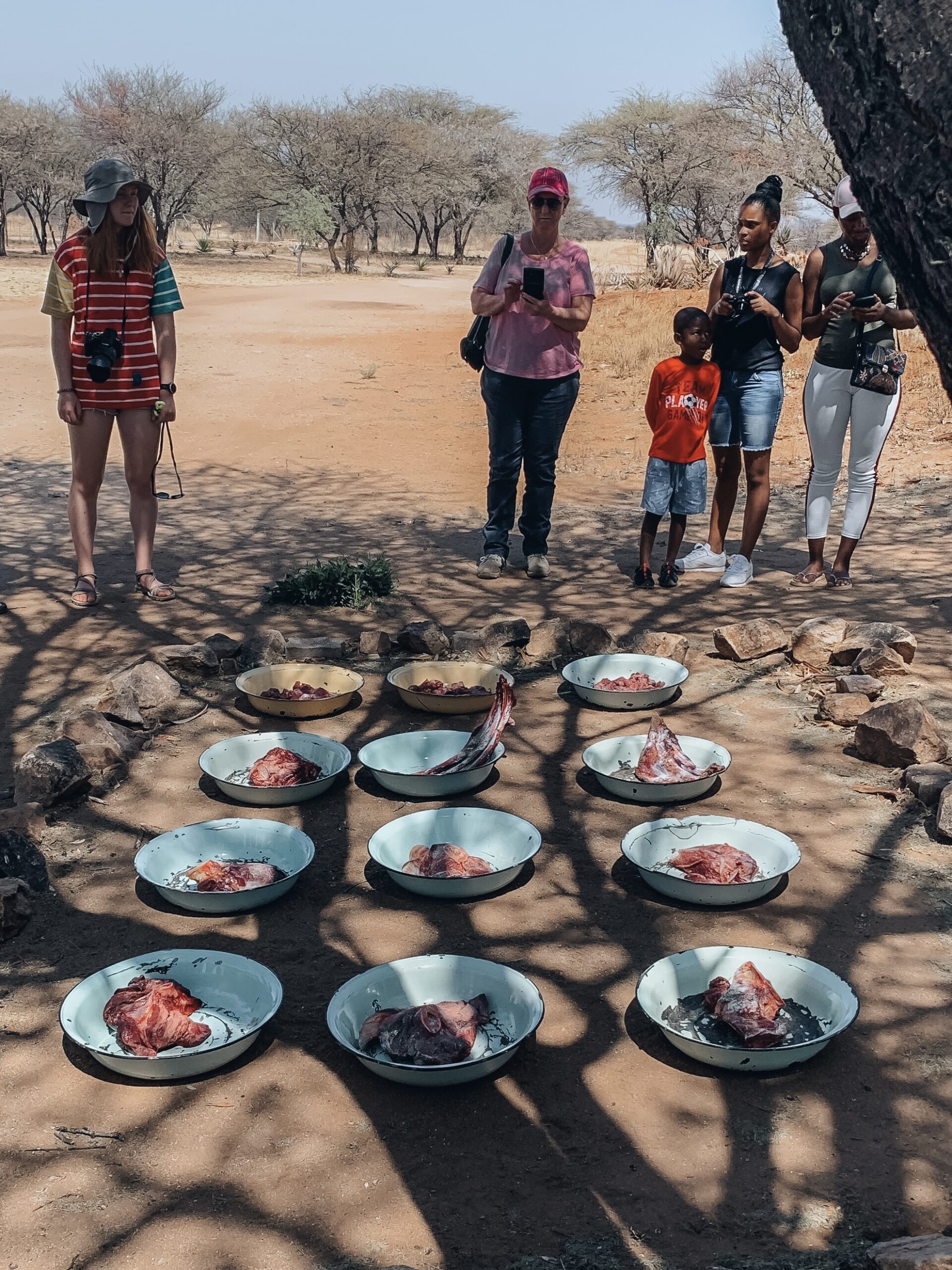 Alimentación de guepardos