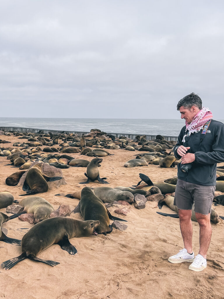 Hay que respetar el espacio de los leones marinos en Cape Cross ya que pueden llegar a incluso morder