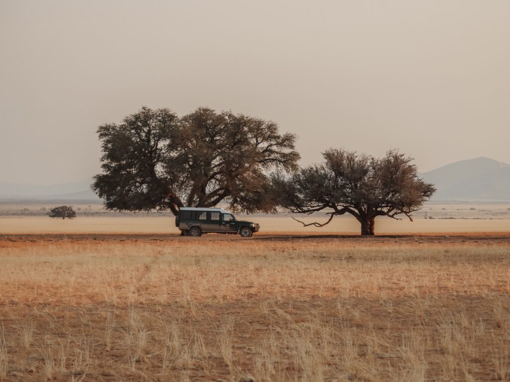 Irse de camping por Namibia es una buena idea pero siempre hay que ir bien equipados. Un coche con las facilidades de camping es muy útil