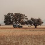 Irse de camping por Namibia es una buena idea pero siempre hay que ir bien equipados. Un coche con las facilidades de camping es muy útil