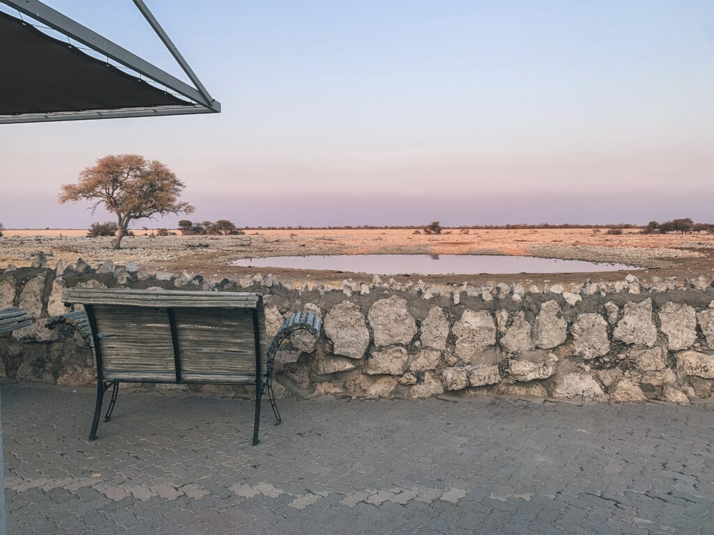 El camping de Okakuejo es un lugar idóneo para ver animales por la noche en el charco de Okakuejo