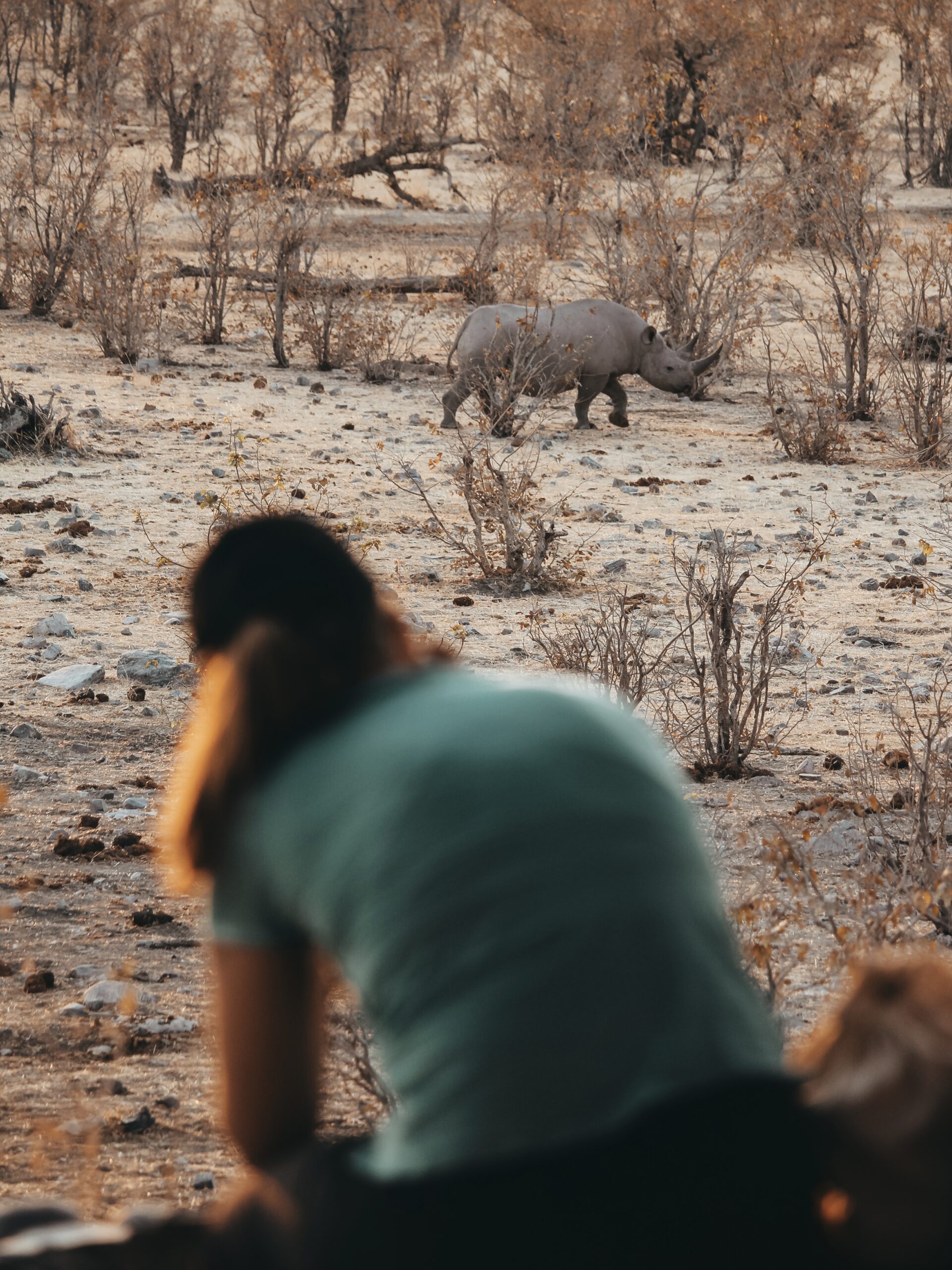 Charco del camping de Namutoni en Etosha