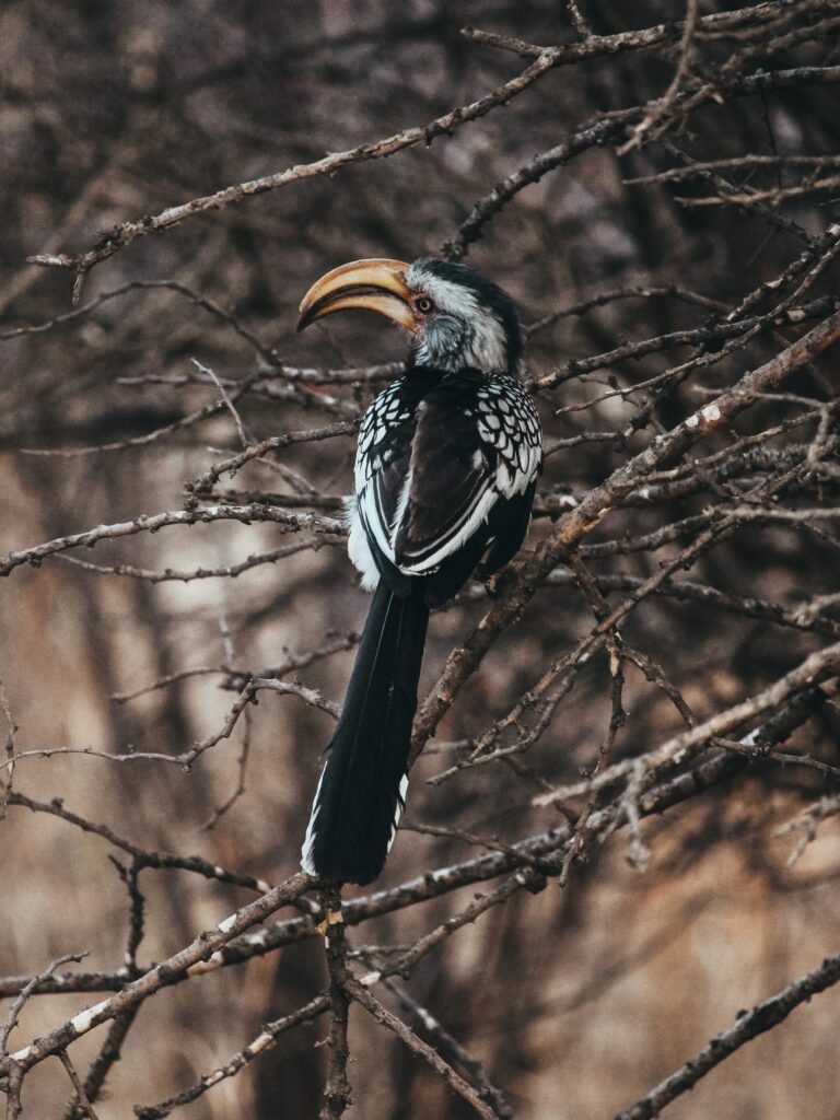 Pájaro posado en un árbol