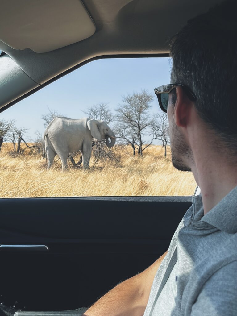 Circular con tu coche en Etosha entre animales salvajes es algo impensable