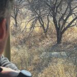 El leopard tracking consiste en ir tras las pistas de un leopardo en el parque de Okonjima