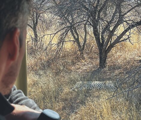 El leopard tracking consiste en ir tras las pistas de un leopardo en el parque de Okonjima