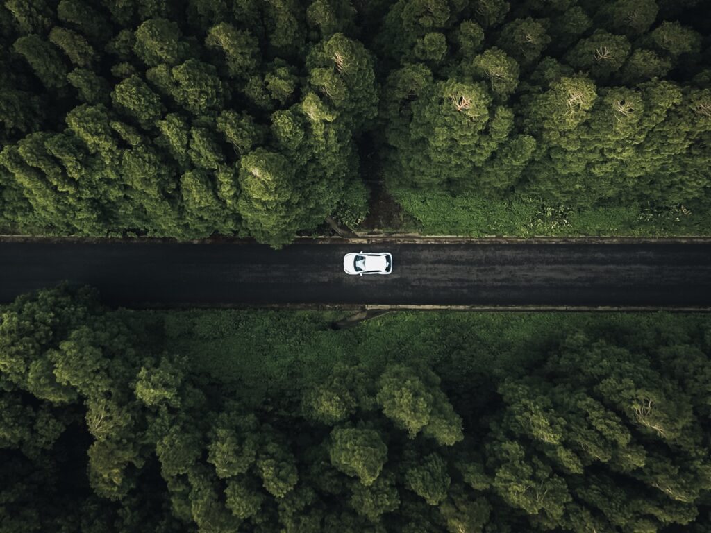árboles alrededor del coche en nuestro viaje a las Azores 4:3