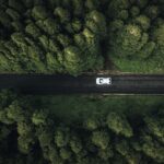 árboles alrededor del coche en nuestro viaje a las Azores 5:3