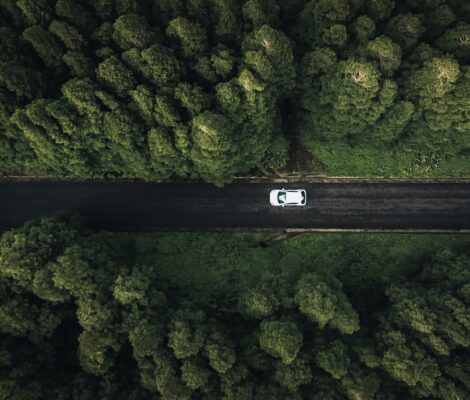 árboles alrededor del coche en nuestro viaje a las Azores 5:3