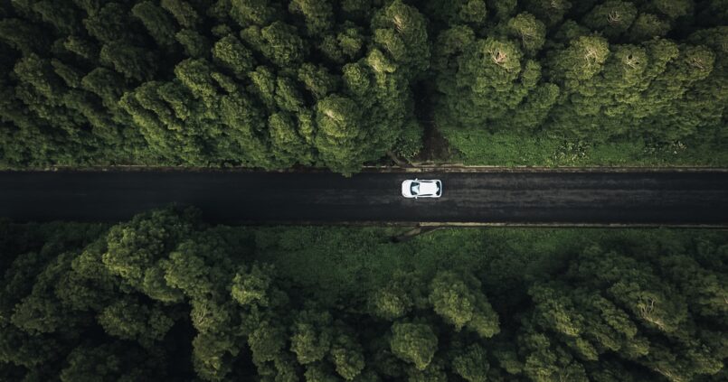 árboles alrededor del coche en nuestro viaje a las Azores 5:3