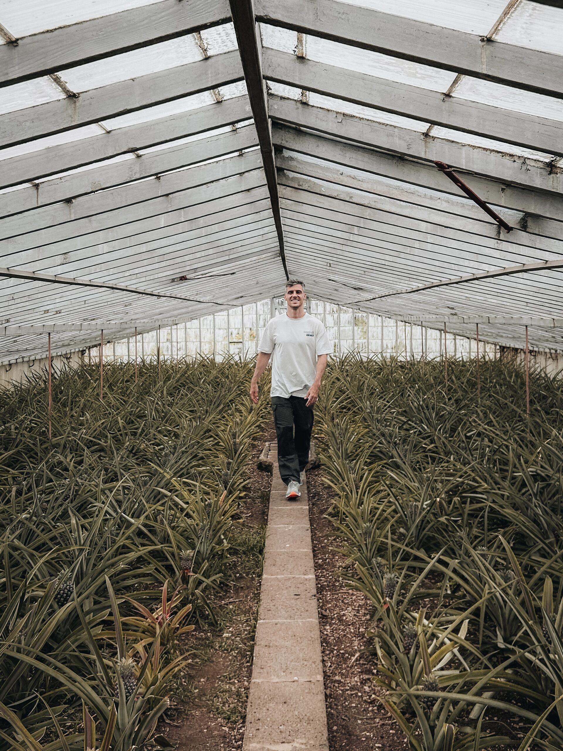 Plantación de Ananás A. Arruda en Ponta Delgada, Azores