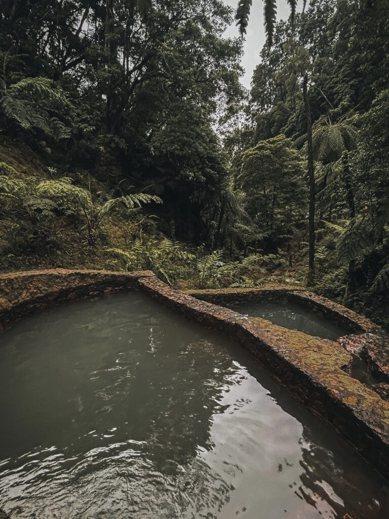 Vegetación que rodea el Parque Natural de Caldeira Velha