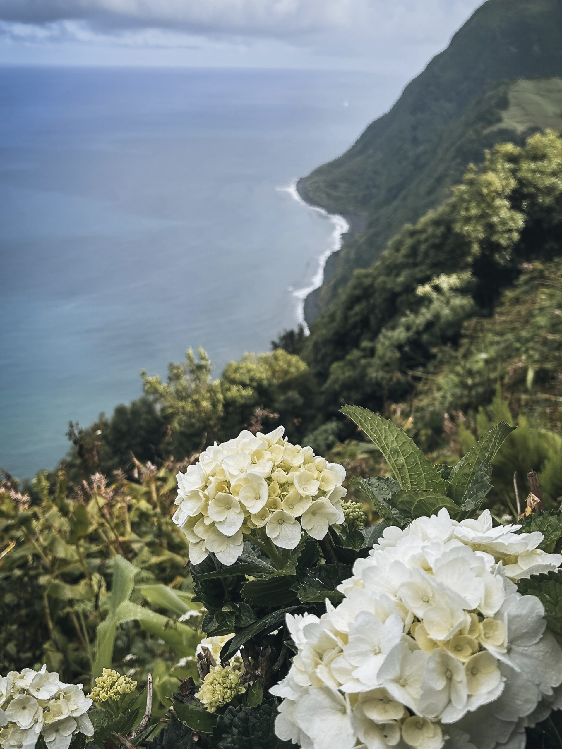 Mirador Ponta do Sossego