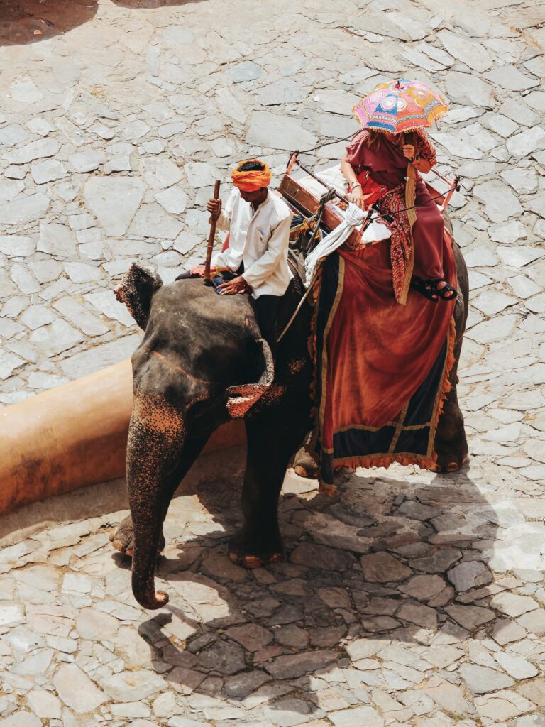 Elefante en el Fuerte de Amber subiendo la empinada cuesta