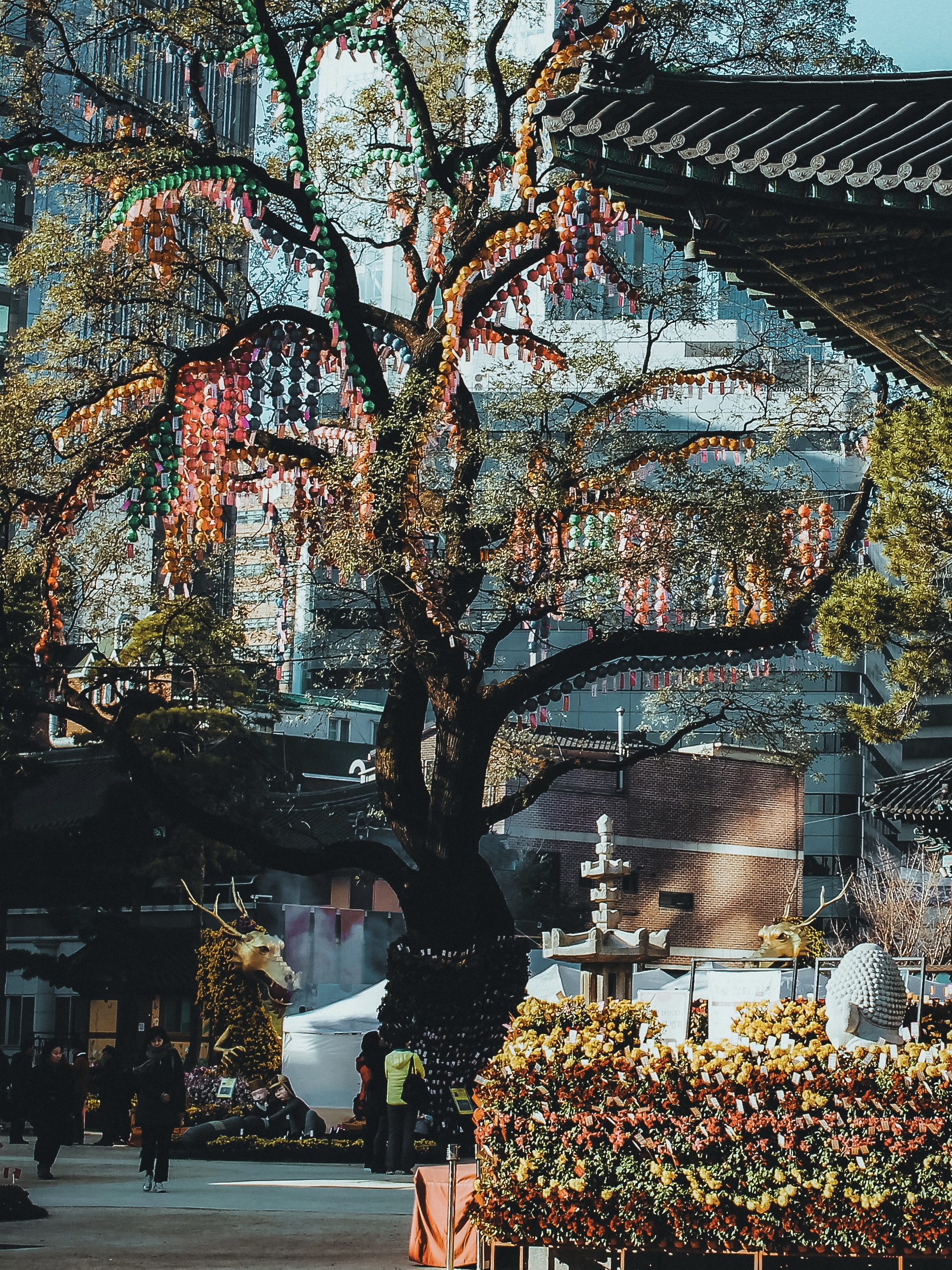árbol adornado dentro del Templo Budista de Jogyesa