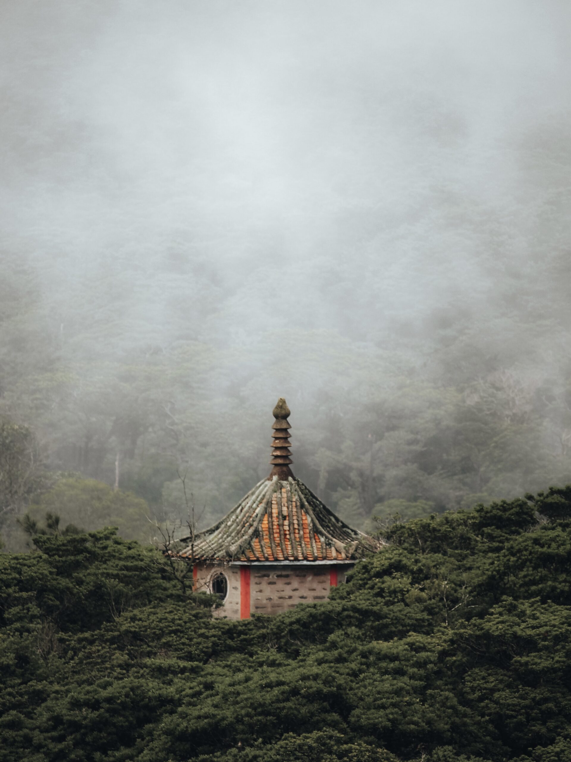 Vistas de un templo desde el Buda Gigante o Buda de Lantau