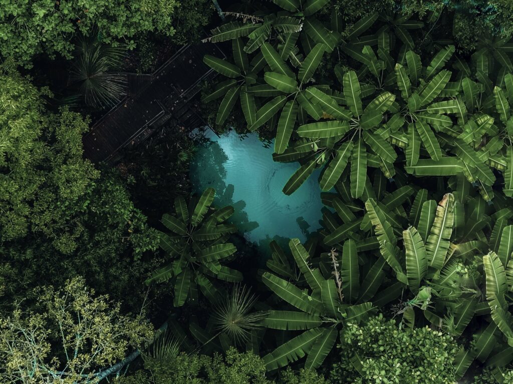 Vista área de un fervedouro en Jalapao