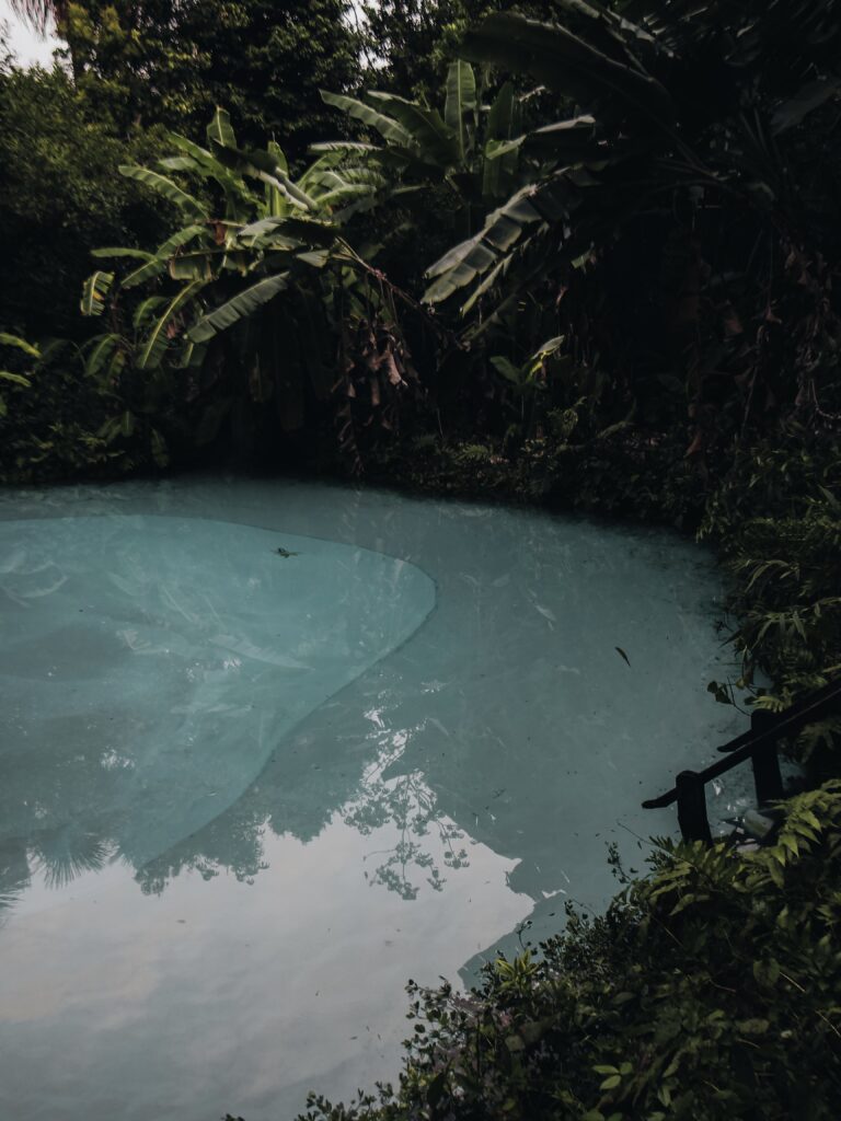 Fervedouro entre la selva en Jalapao