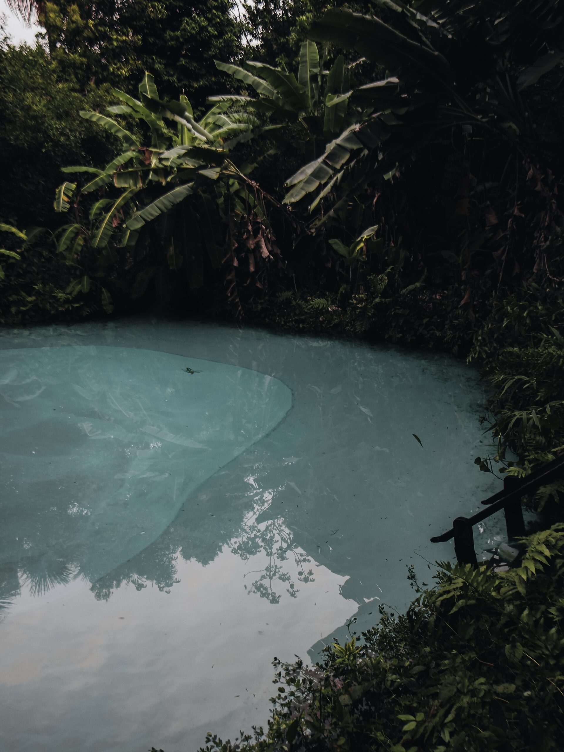 Fervedouro entre la selva en Jalapao