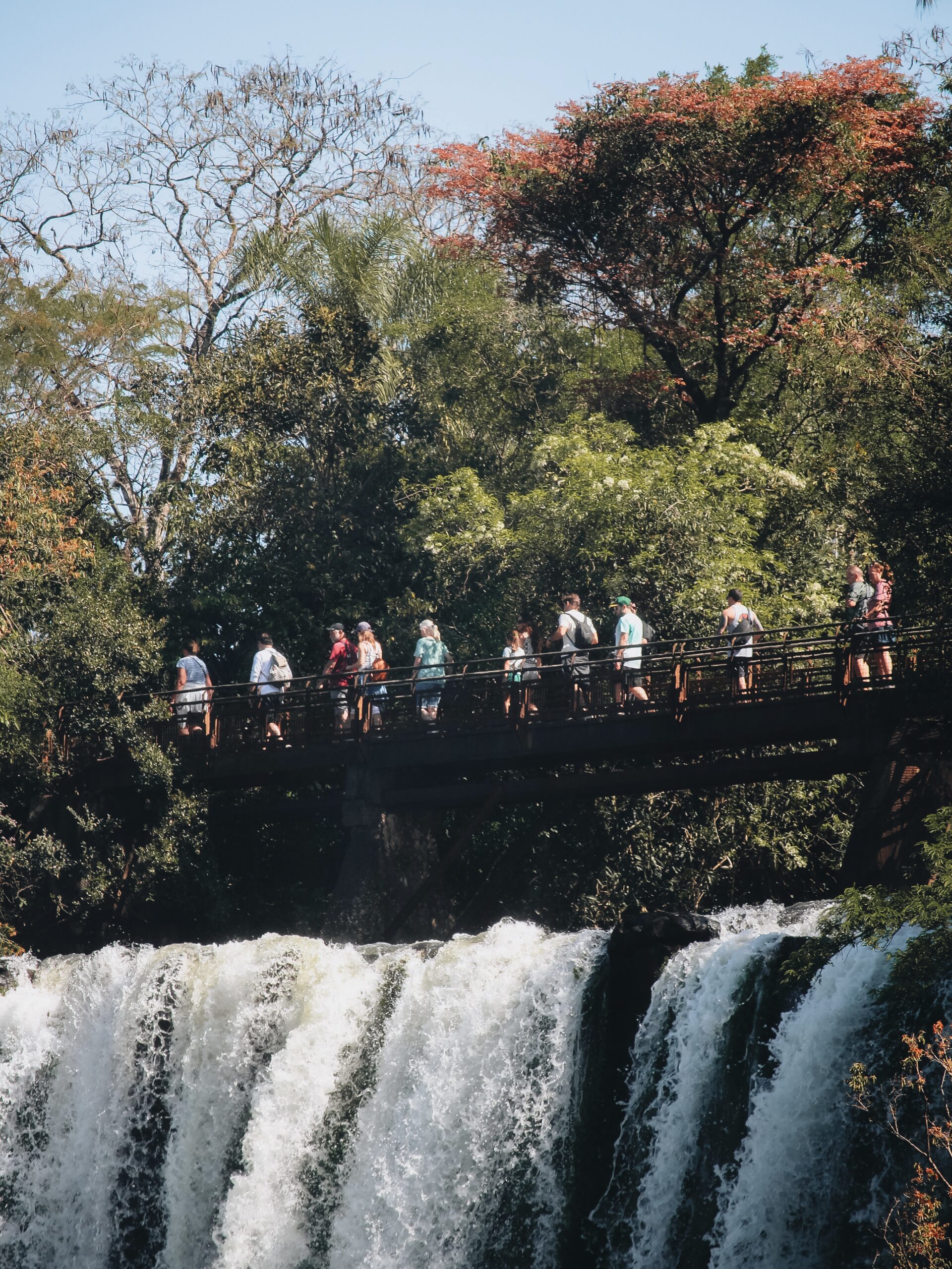 Paso el recorrido en el parque de las Cataratas del Iguazú