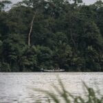 Paseo en barco en Tortuguero