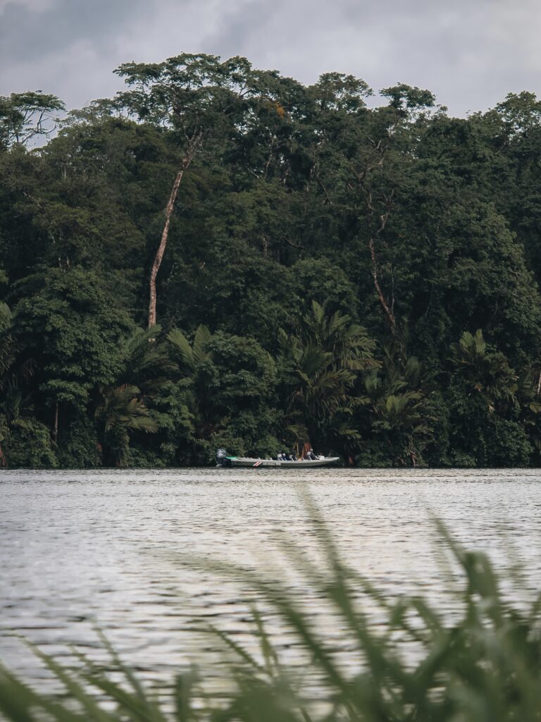Paseo en barco en Tortuguero