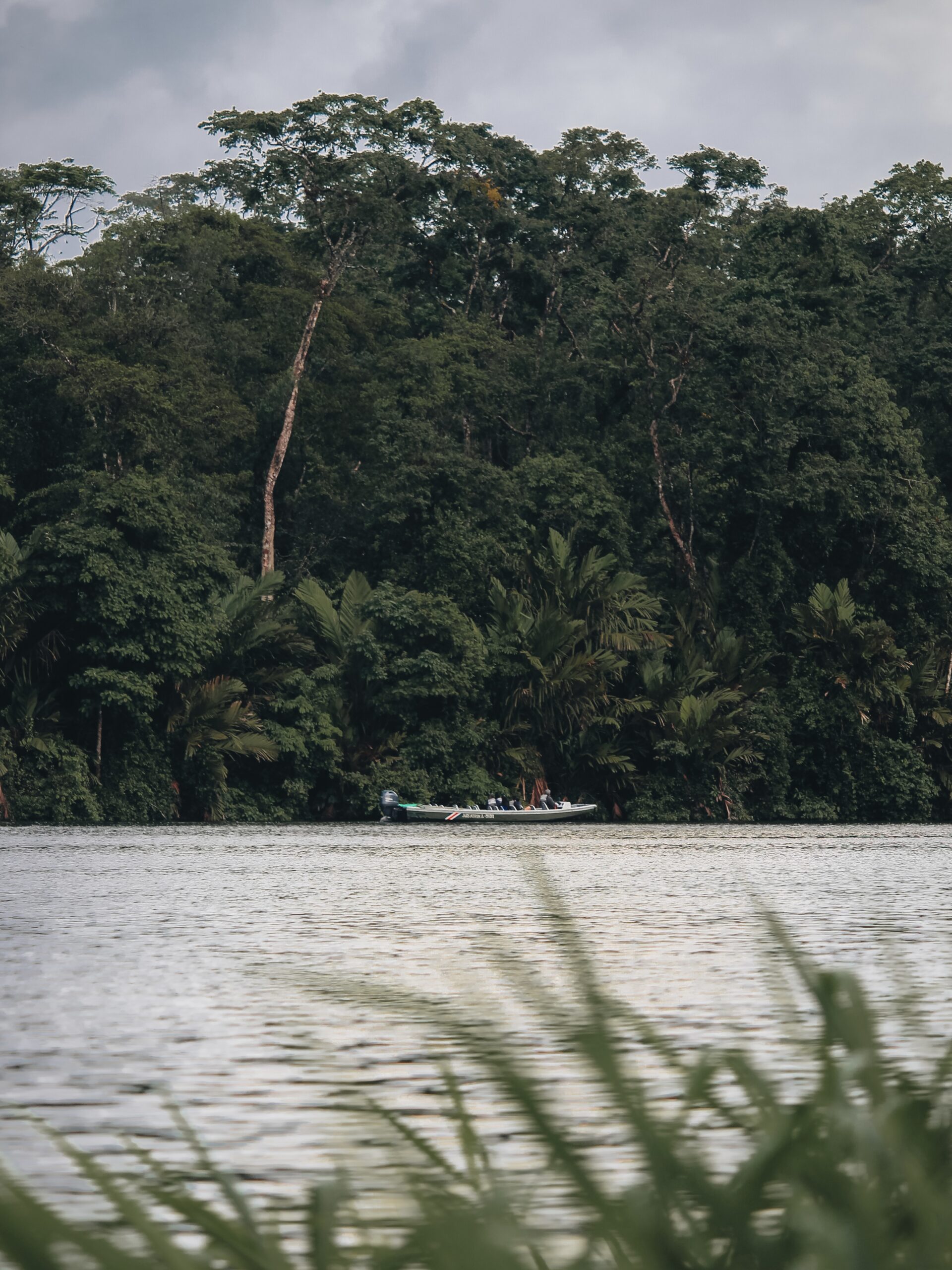 Paseo en barco en Tortuguero