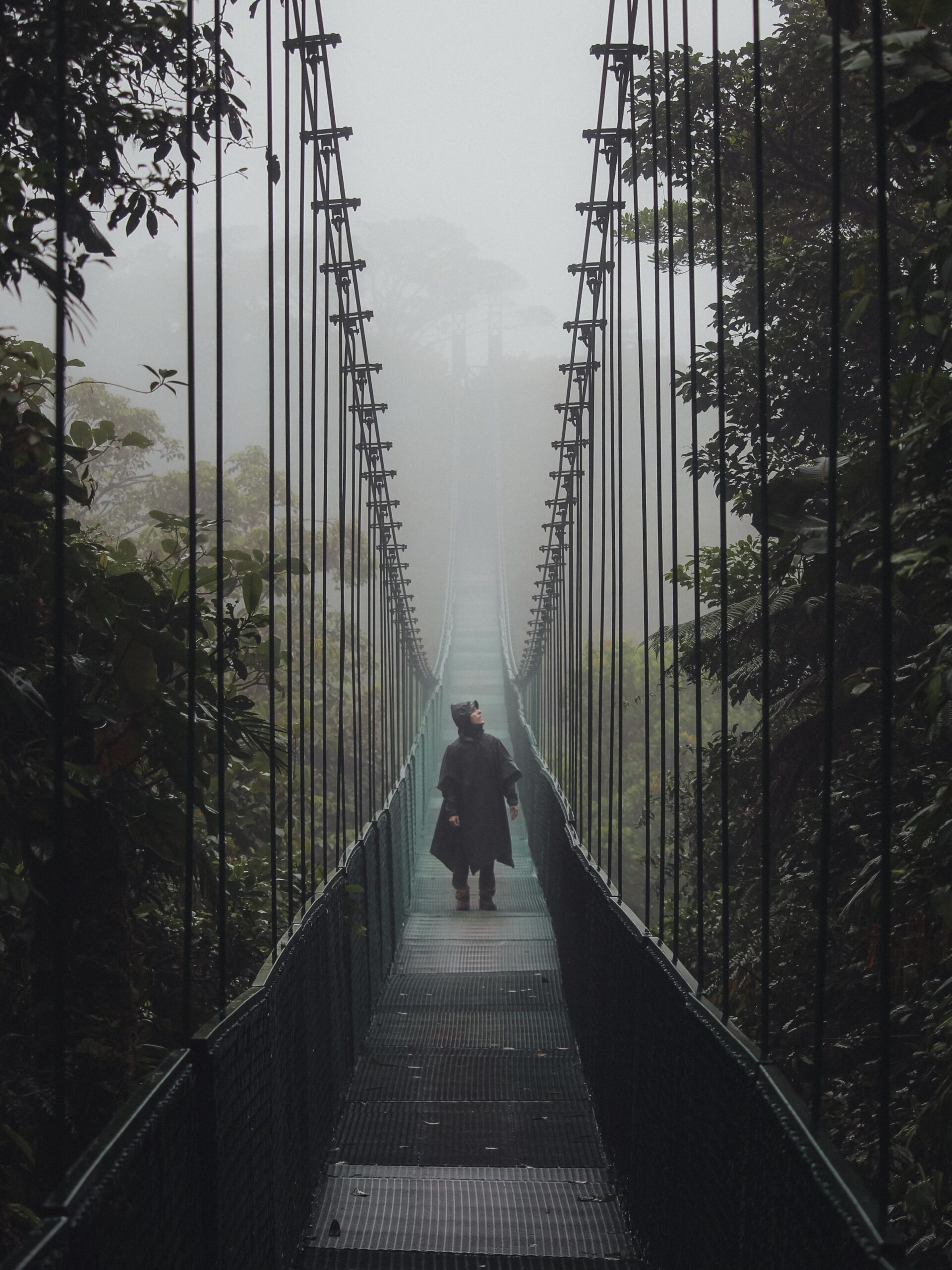 Ricardo en uno de los puentes colgantes de Monteverde