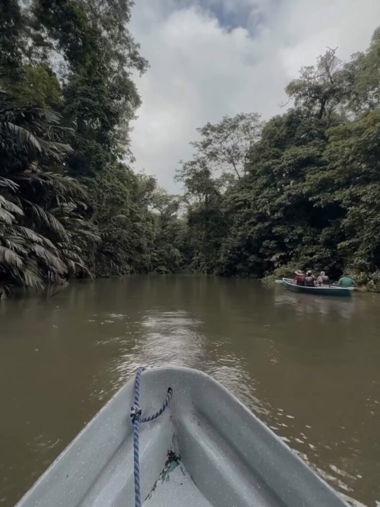 Paseo en barca por el canal de Tortuguero