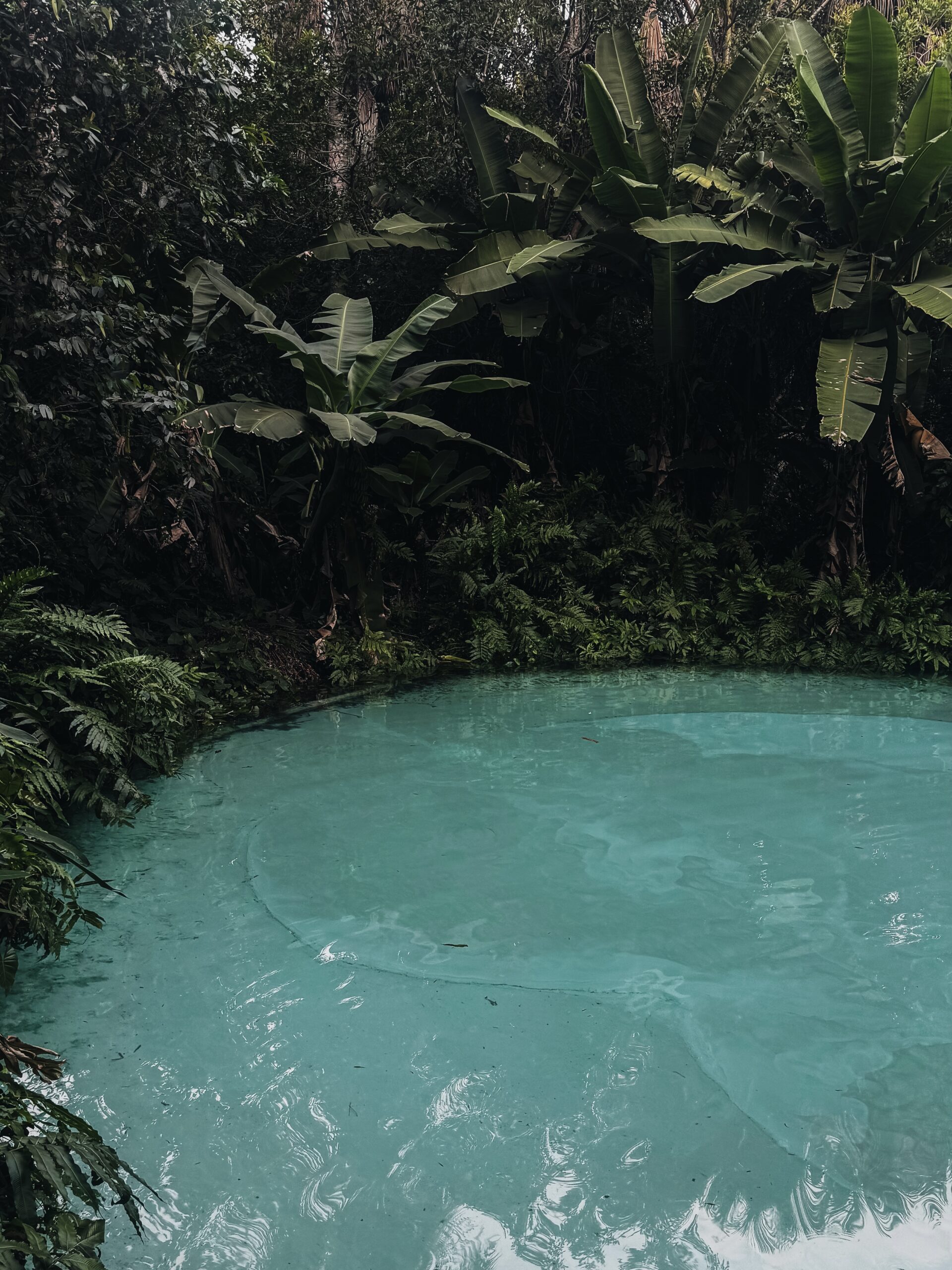 Fervedouro entre la selva en Jalapao